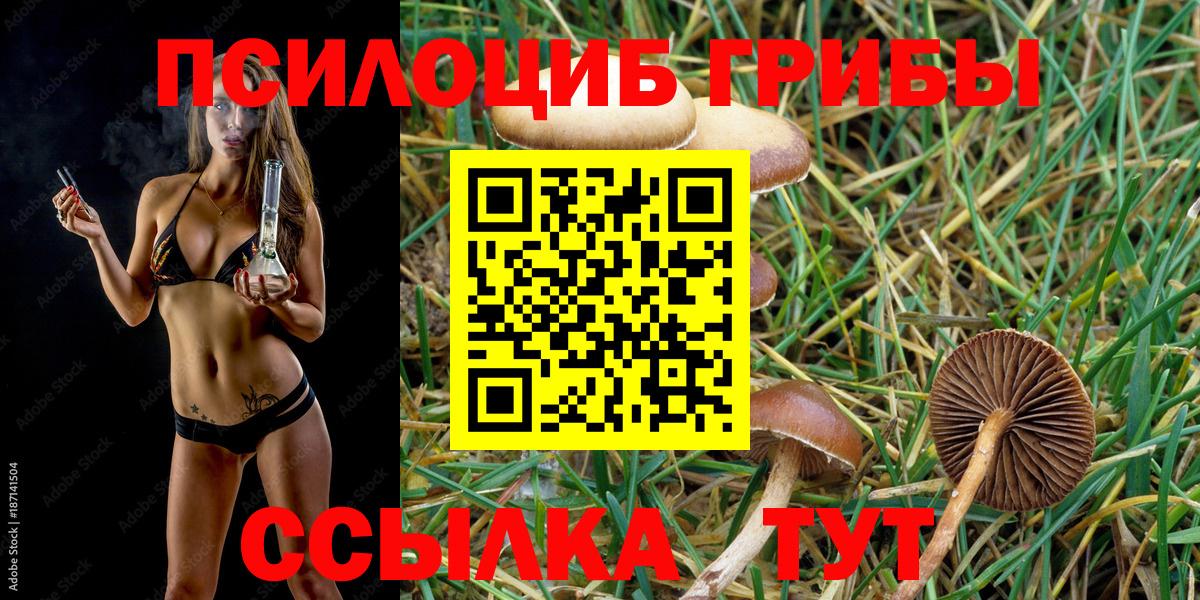 Галлюциногенные грибы MAGIC MUSHROOMS  Вход с VPN  Псилоцибиновые грибы мухоморы  где найти   Октябрьский 