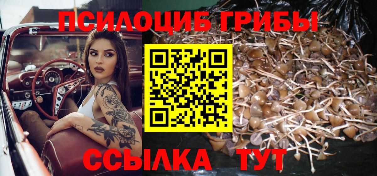 Псилоцибиновые грибы GOLDEN TEACHER Октябрьский